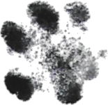 Bez_tytułu_3przejrzsye