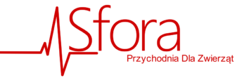sfora logo